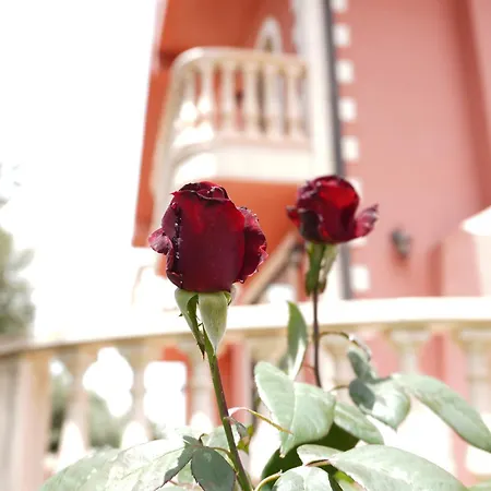 Domus Sicula * Punta Secca